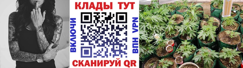 Хочу наркоту Зубцов ГАШ  Амфетамин  Меф мяу мяу  Конопля  А ПВП 