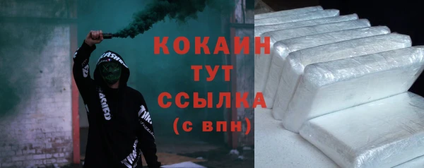 шишки Нея