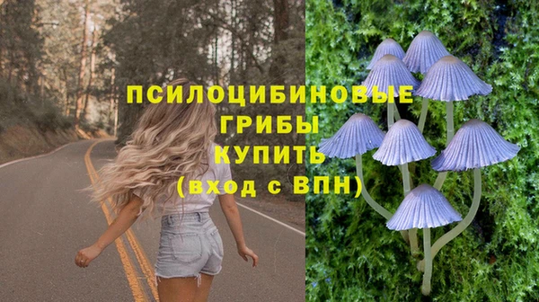 шишки Нея