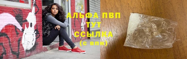 2c-b Надым